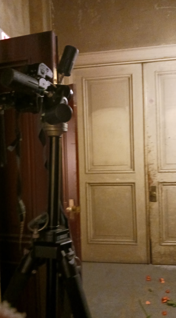 Camera on tripod aimed at a weathered vintage door with scattered rose petals on floor.