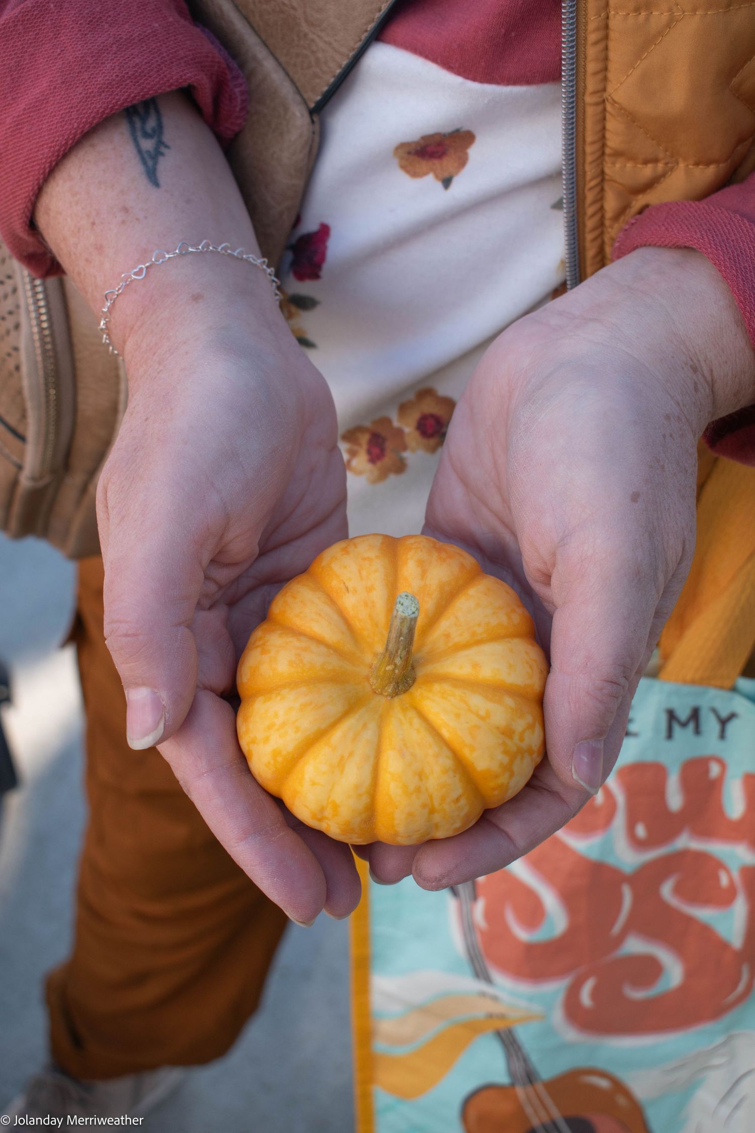 Person holding a small decorative mini pumpkin in cupped hands at a fall festival.