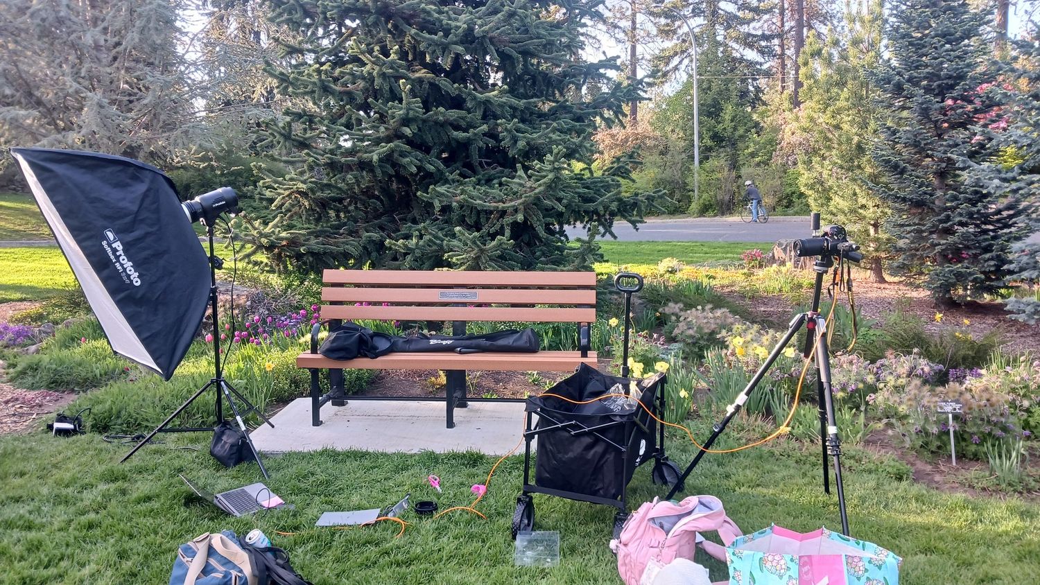 Outdoor photography studio setup with softbox, tripods, and equipment arranged around a wooden park bench in a garden setting.