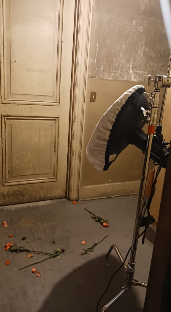 Professional photography softbox lighting equipment set up near an aged door with rose petals.