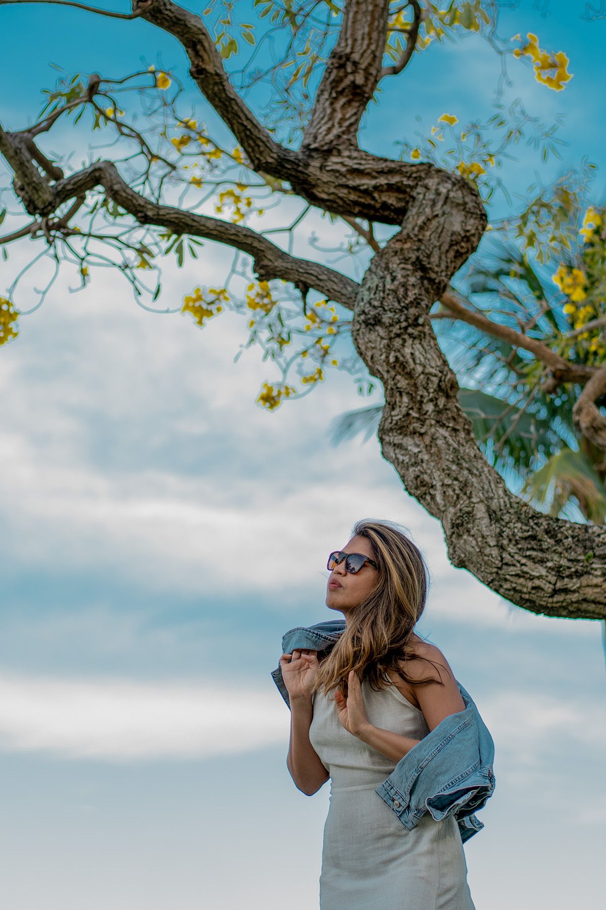 Outdoor mindfulness portrait in Miami, FL – serene moment under a tree with warm golden-hour lighting.