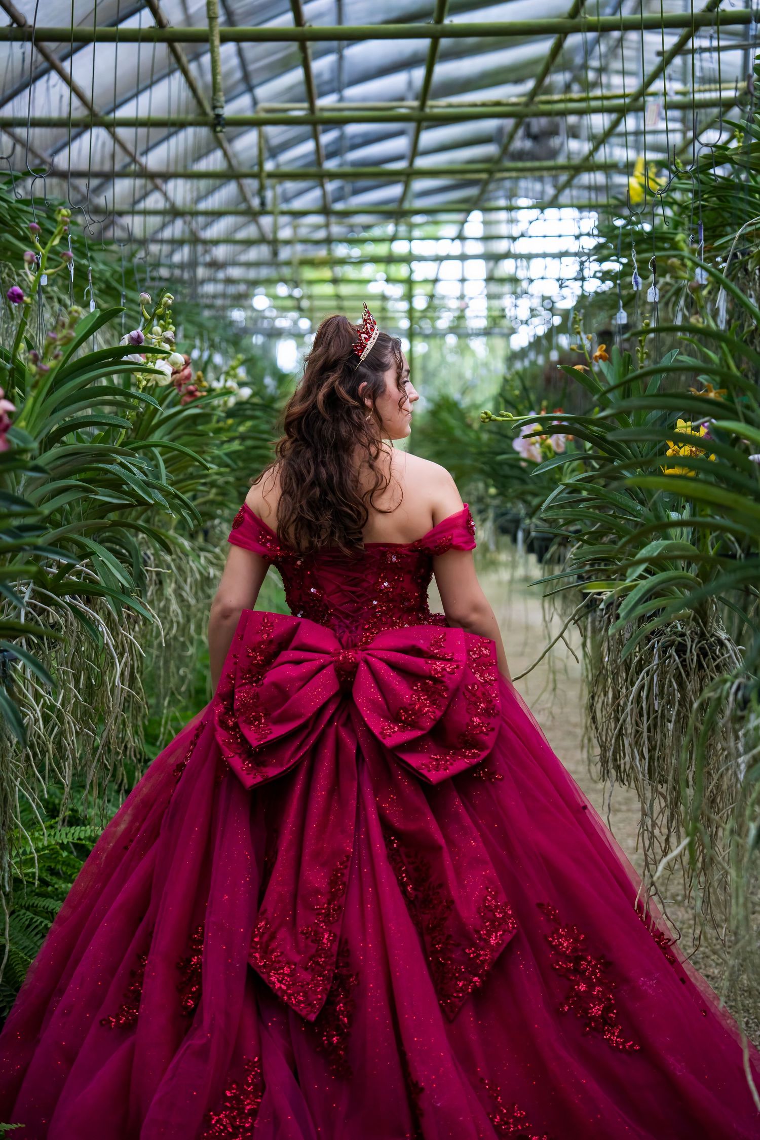 Editorial quinceañera portrait from behind, showcasing a dramatic burgundy gown inside an orchid greenhouse.