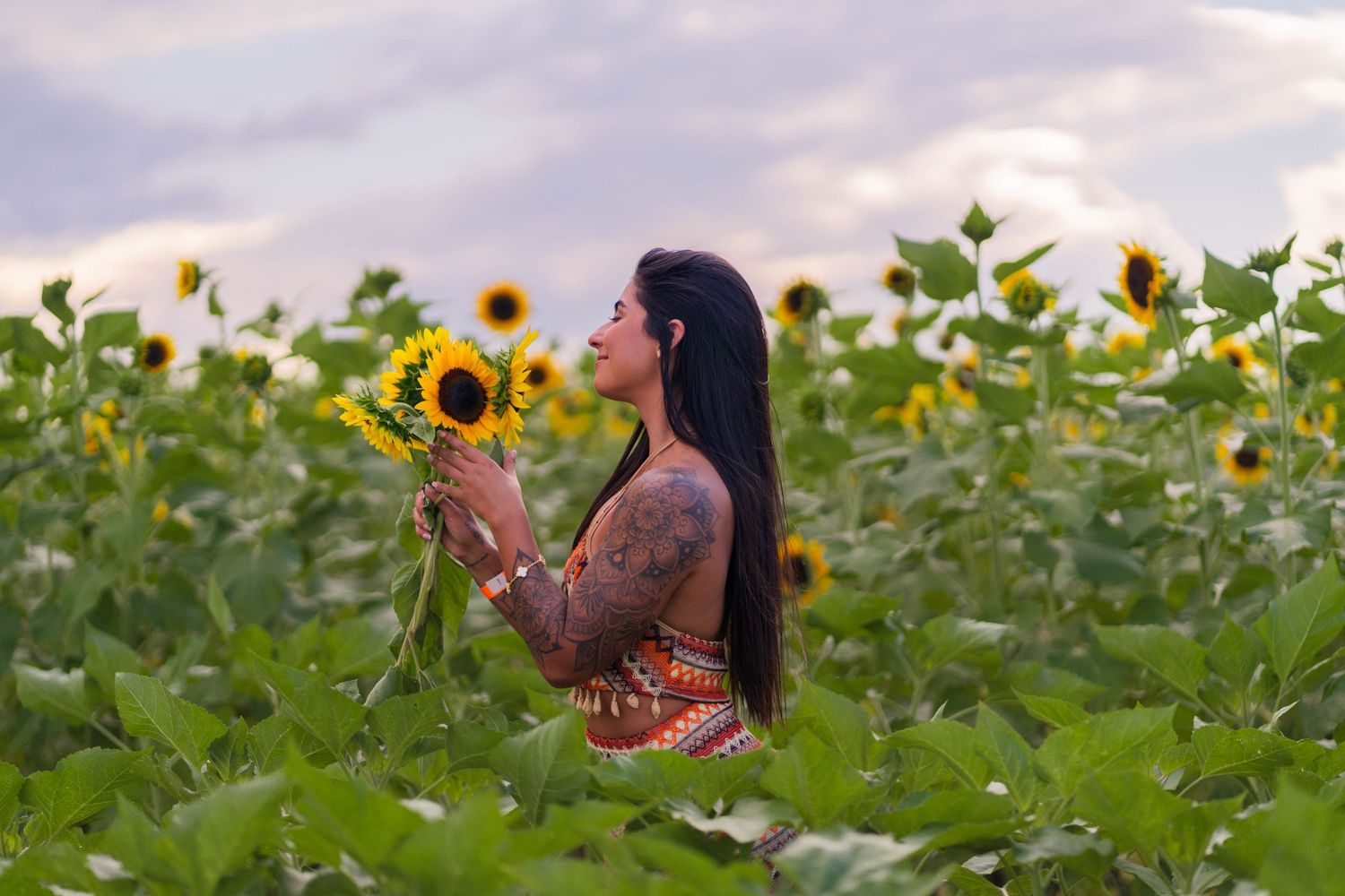 Golden hour sunflower field photoshoot in Homestead, FL – woman with long dark hair admires a sunflower in the evening glow.