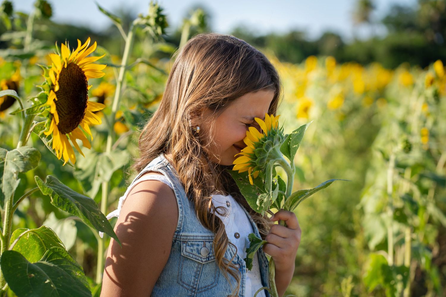 Laughing moment in sunflower field, Miami birthday portrait photography.