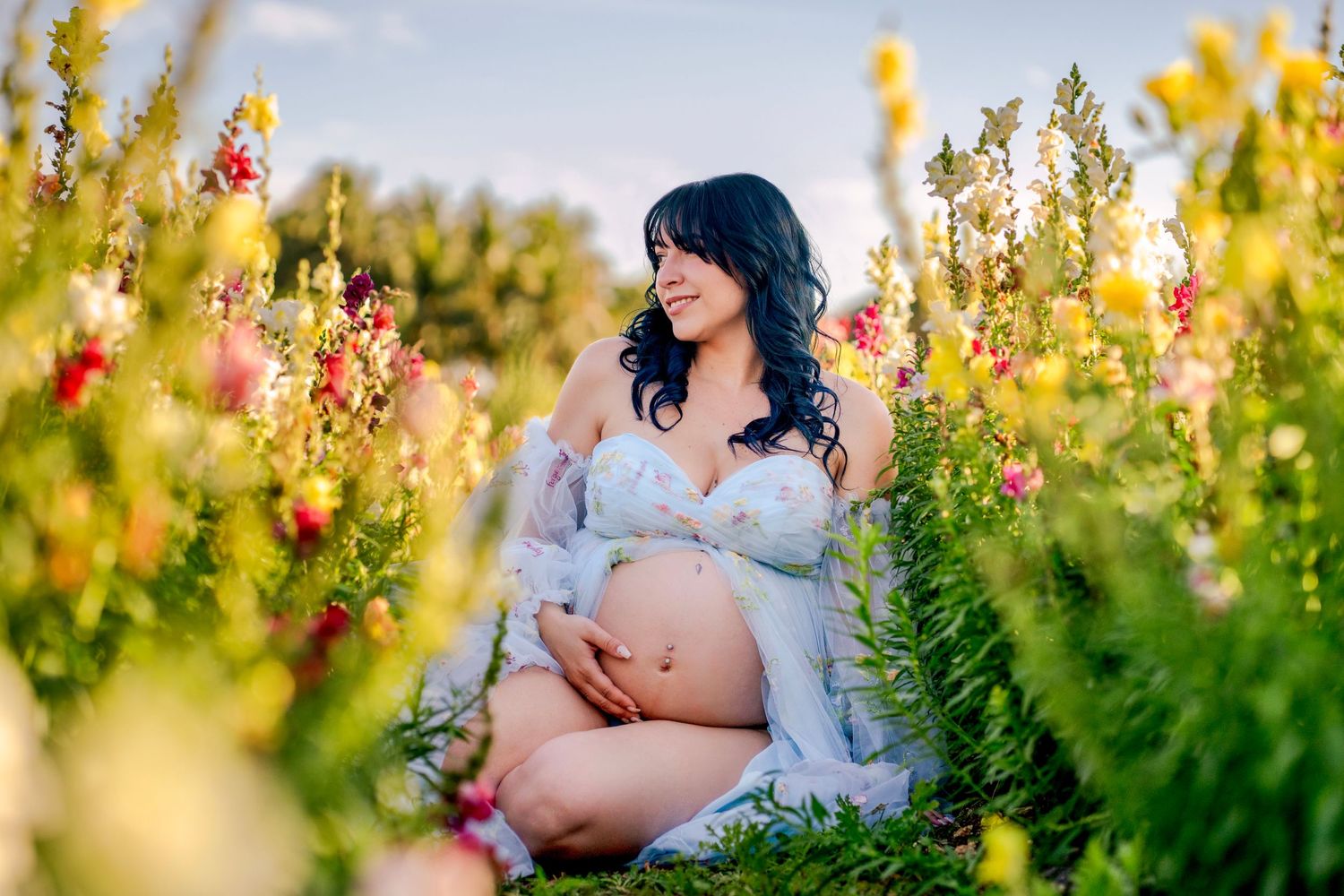 Maternity in flower field, photographed in South Florida at golden hour.
