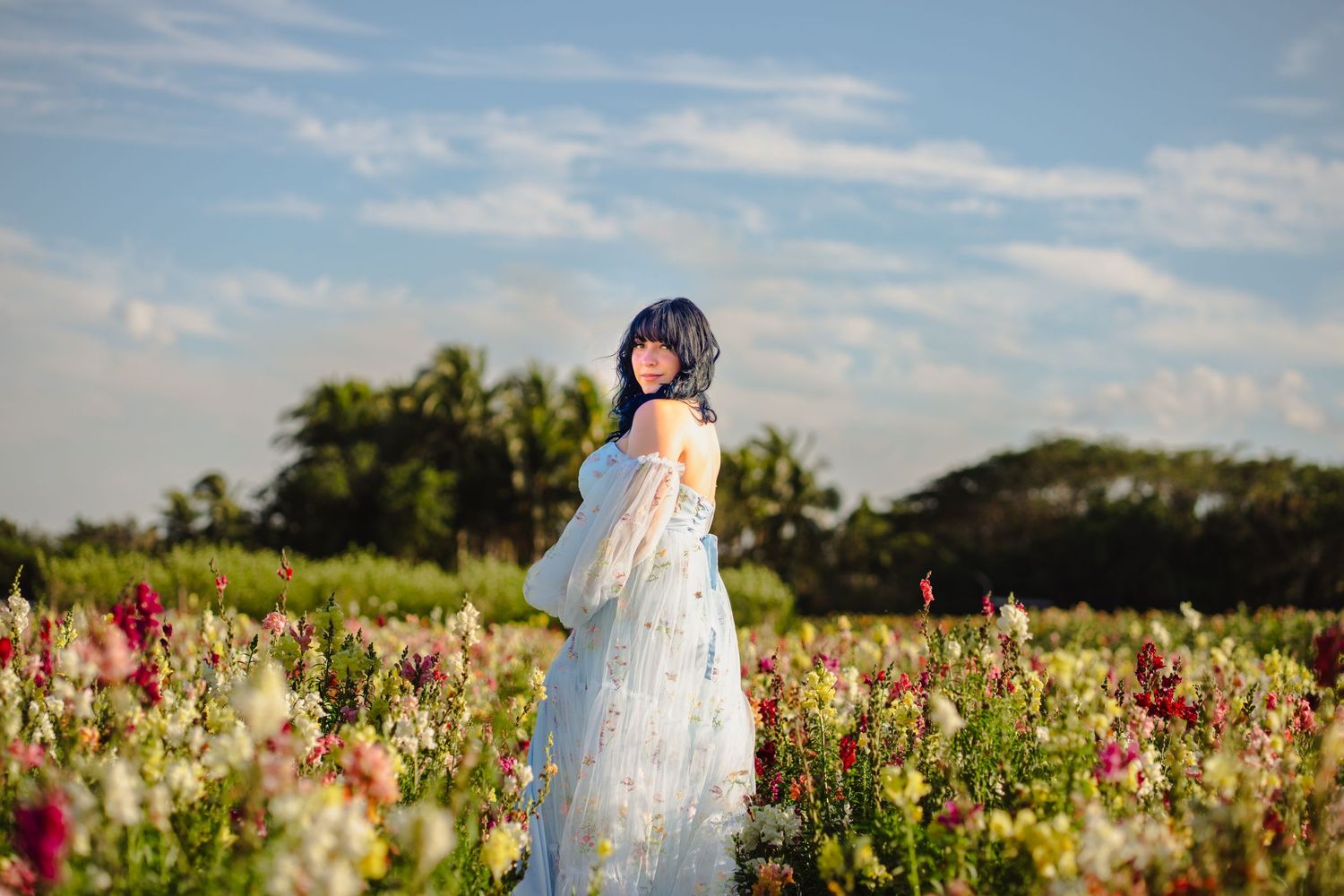 Solo maternity portrait in colorful field with golden backlight, South Florida.
