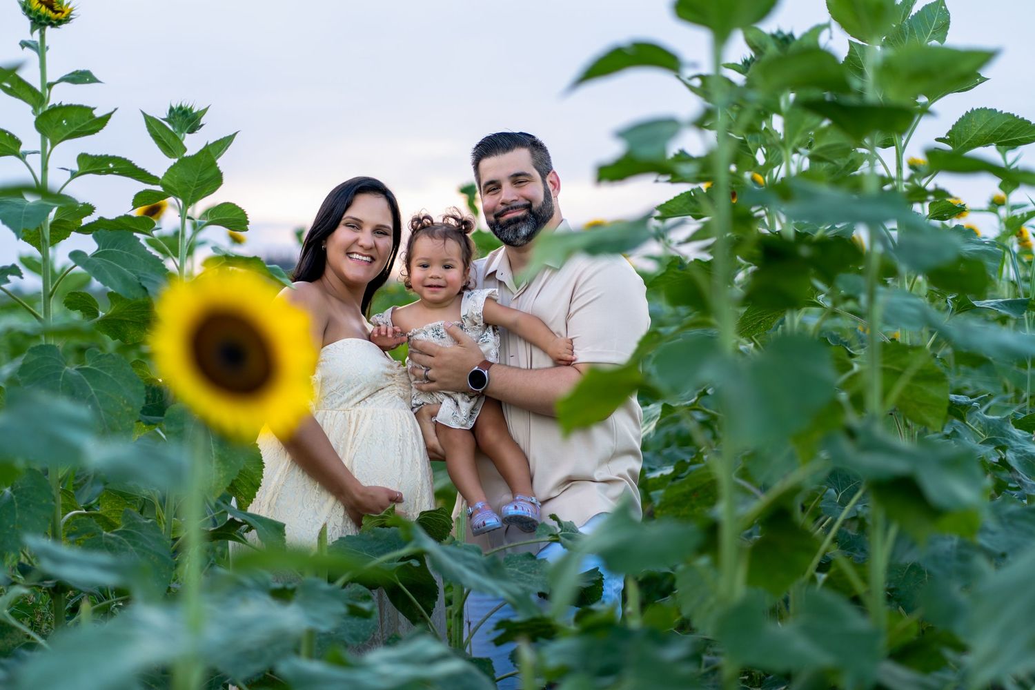 Heartwarming family maternity session in Homestead, featuring expectant parents and their child surrounded by lush sunflowers.