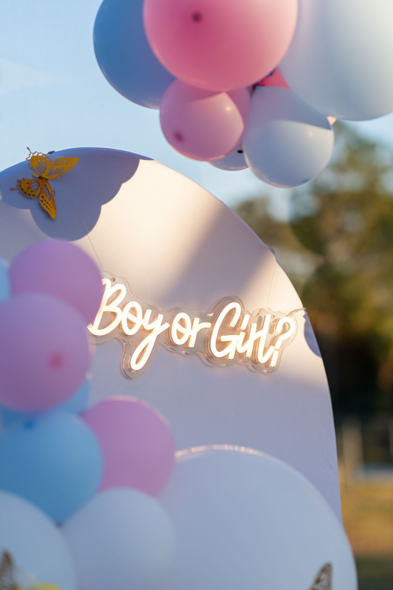Balloon arch detail with pink and blue balloons at a South Florida gender reveal celebration.