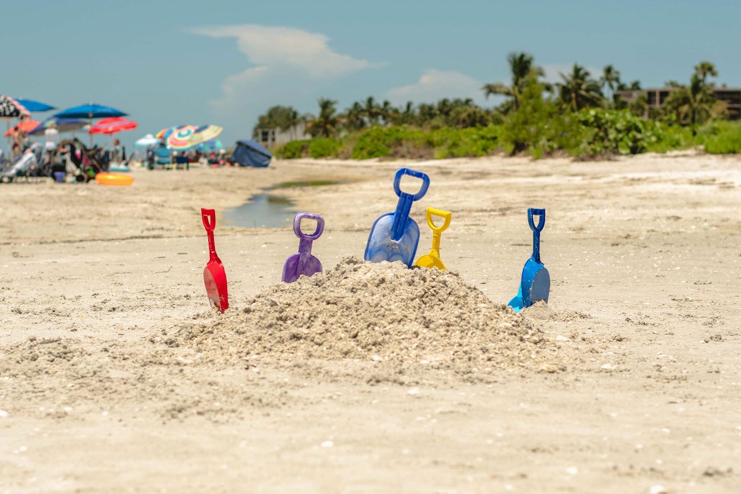 Beach day fun in Fort Lauderdale, FL – colorful sand shovels arranged in the sand with palm trees in the background.