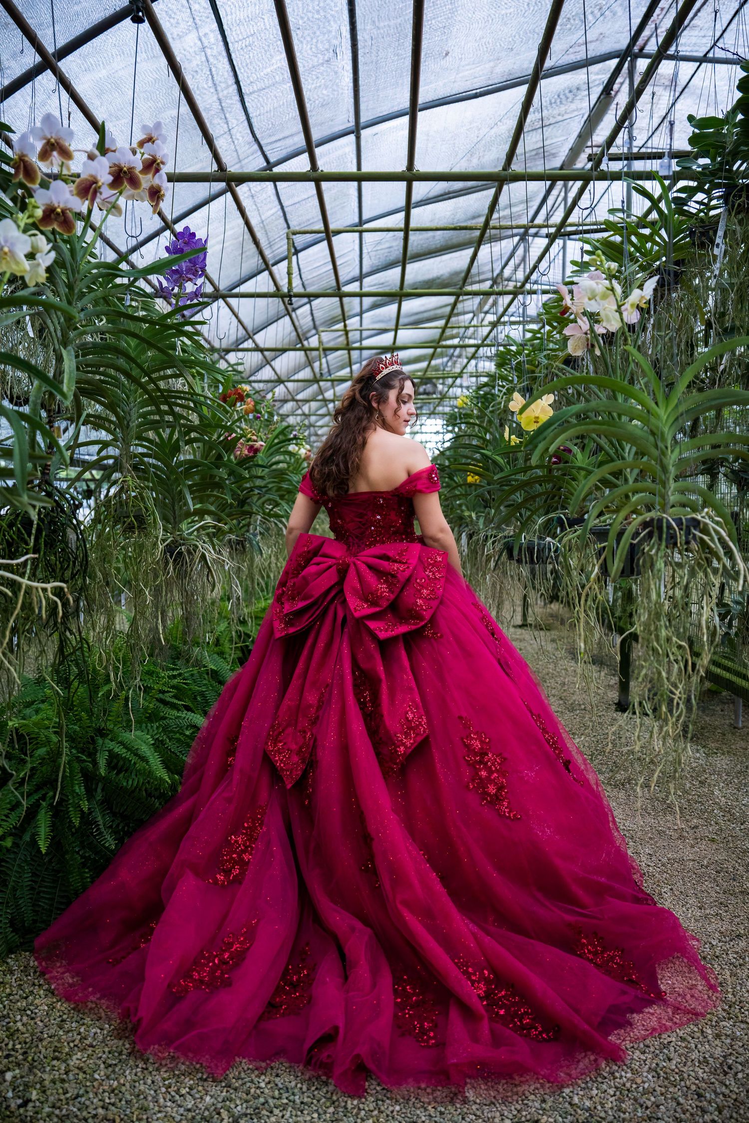 Cinematic quinceañera portrait highlighting a flowing burgundy dress framed by orchids and greenhouse light.