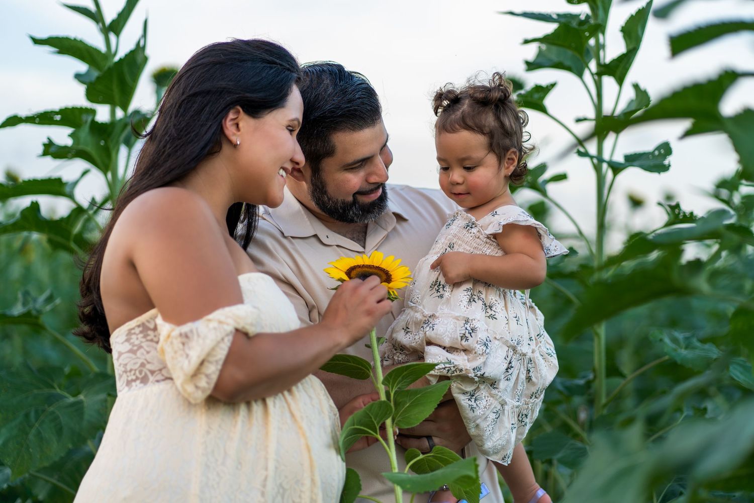 Heartwarming family maternity session in Homestead, capturing parents and their little one in a field of sunflowers.