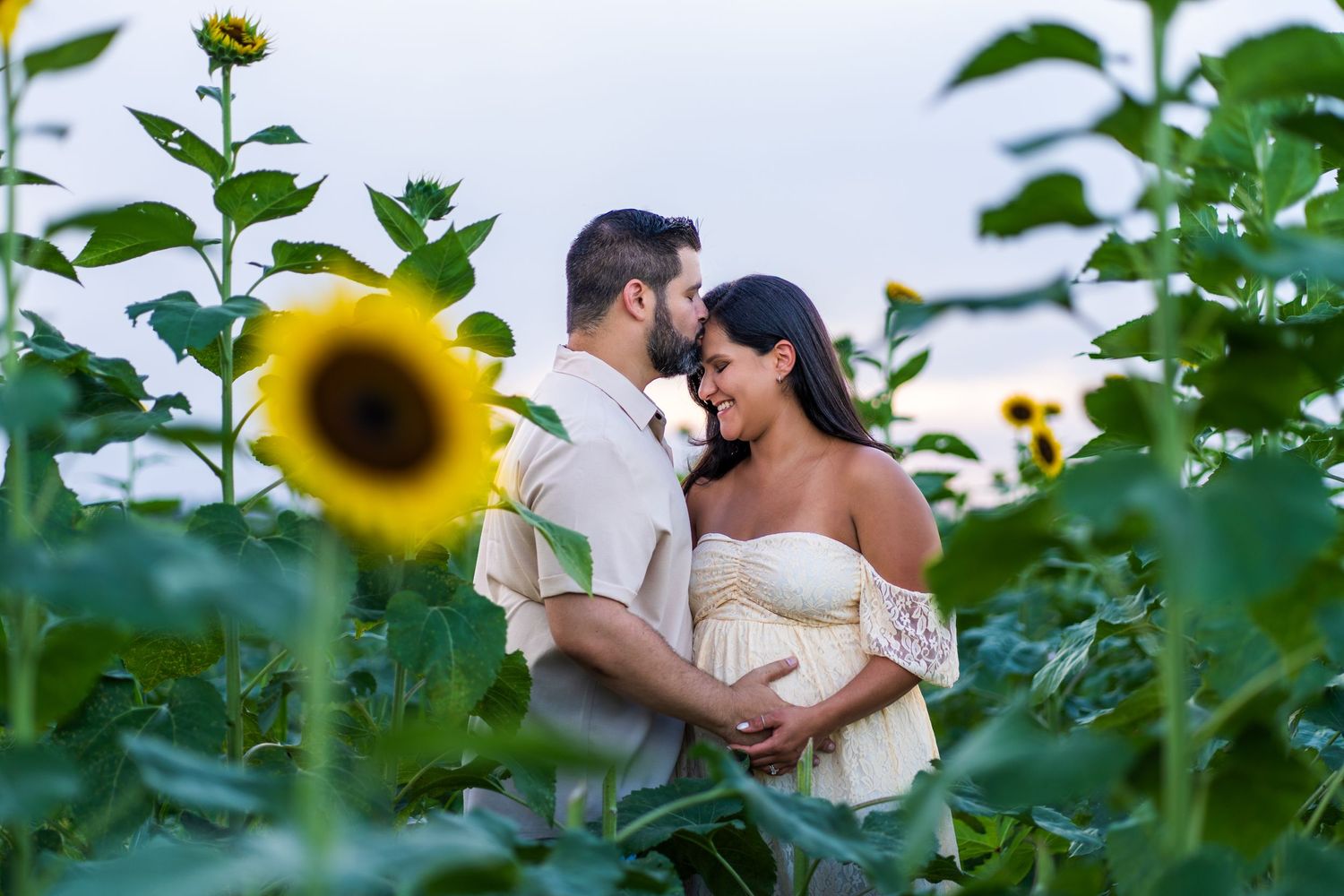 Luxury Maternity Photography in Sunflower Fields | Homestead, FL