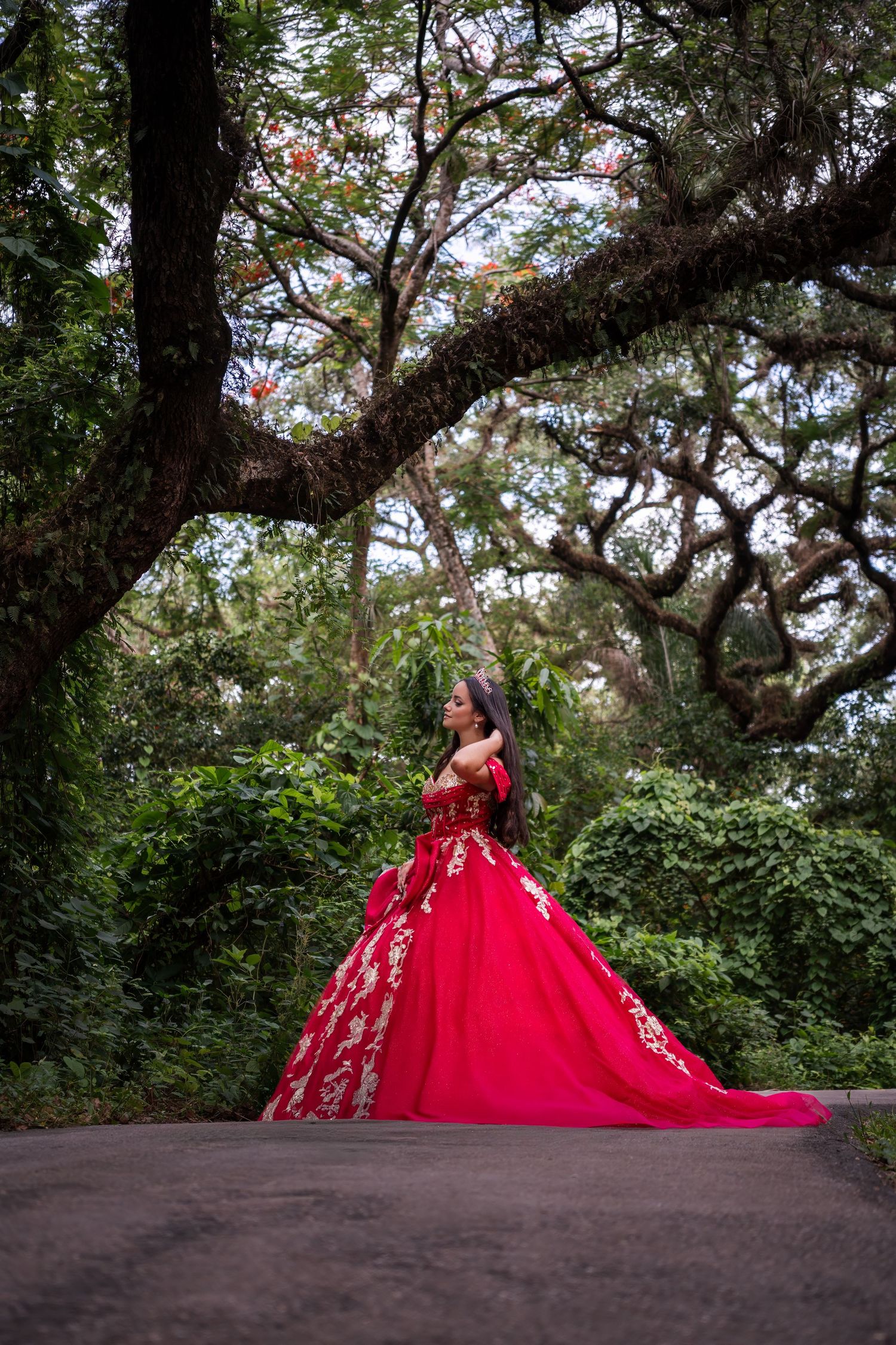 Quinceañera portrait under grand tree branches in a dramatic red dress with train spread wide.