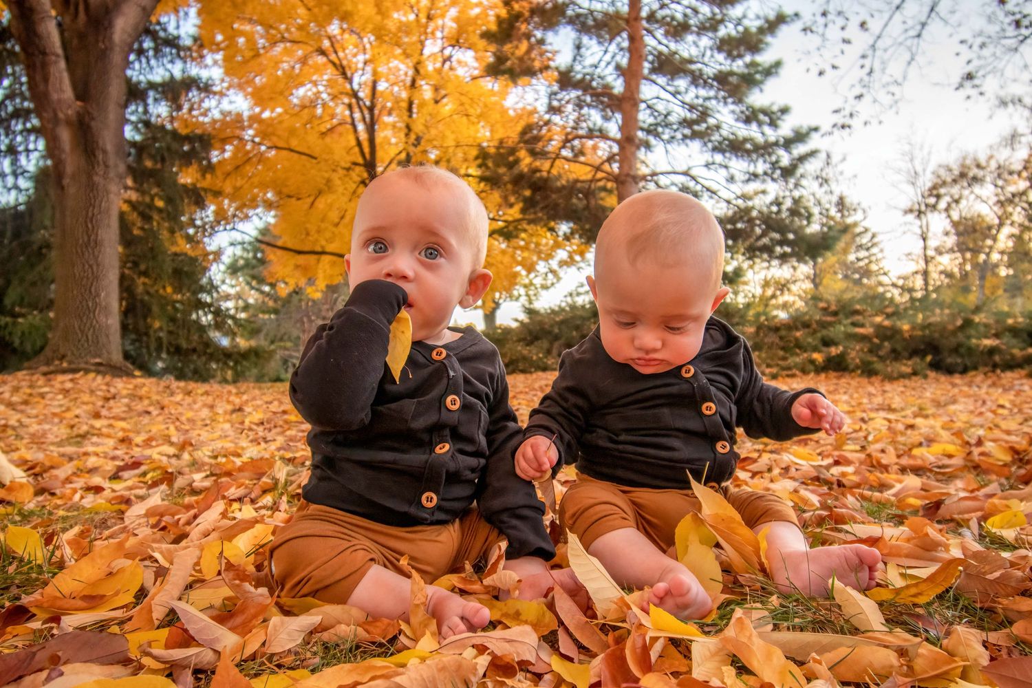 Adorable twin babies fall photoshoot in Boulder, CO – sitting in colorful autumn leaves with matching outfits.