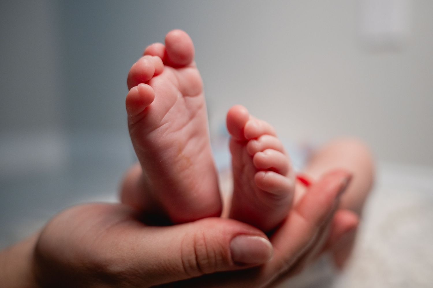 Close-up photo of newborn baby feet held gently by parent in Fort Lauderdale