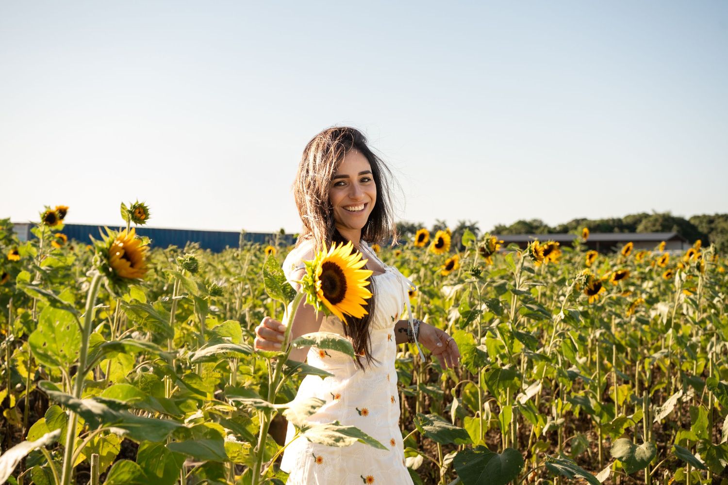 Birthday portrait in sunflower field at Berry Farms, natural light South Florida photography.