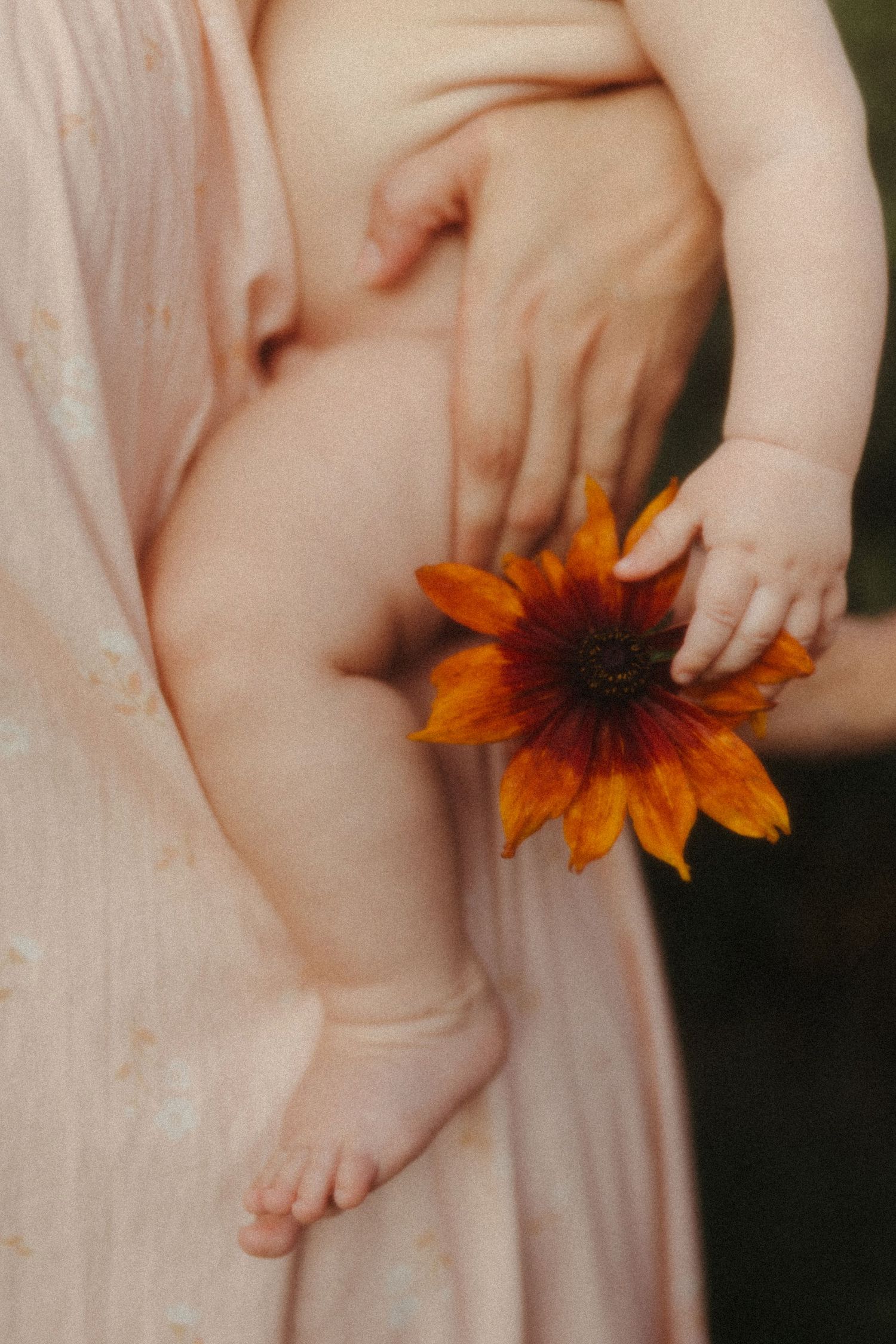 Baby's tiny feet gently rest against a soft pink fabric while holding a vibrant orange sunflower bloom.