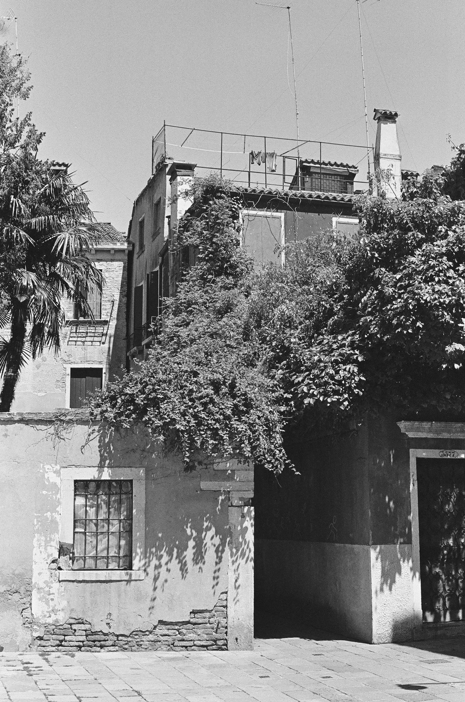 Overgrown garden surrounds weathered Venetian building with rustic windows and doors.