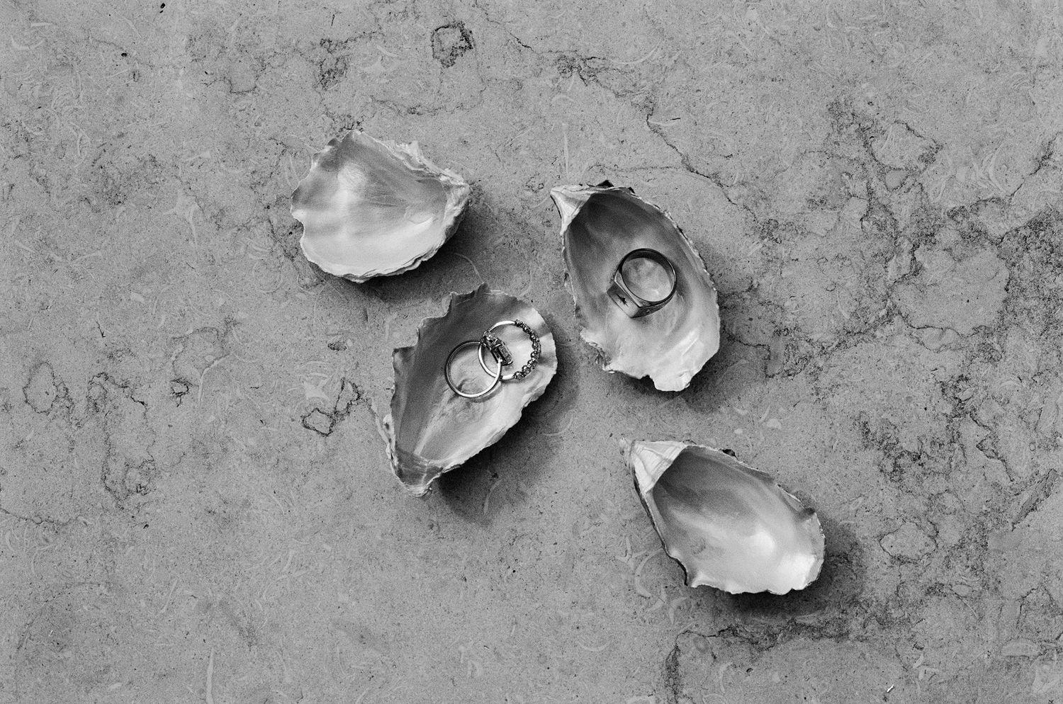 Broken eggshells scattered on a textured gray concrete surface create an abstract minimalist composition.