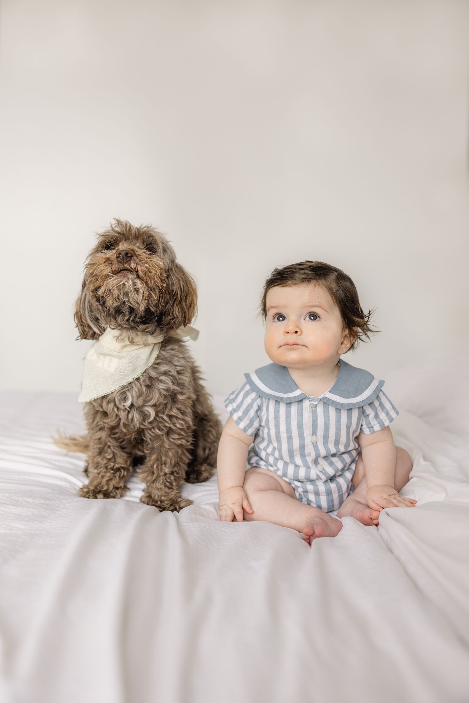 natural light portrait of baby and dog on bed in soft neutral tones.