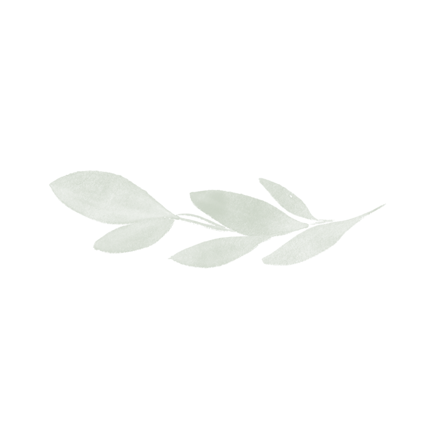 Decorative green watercolor leaf design element on white background.