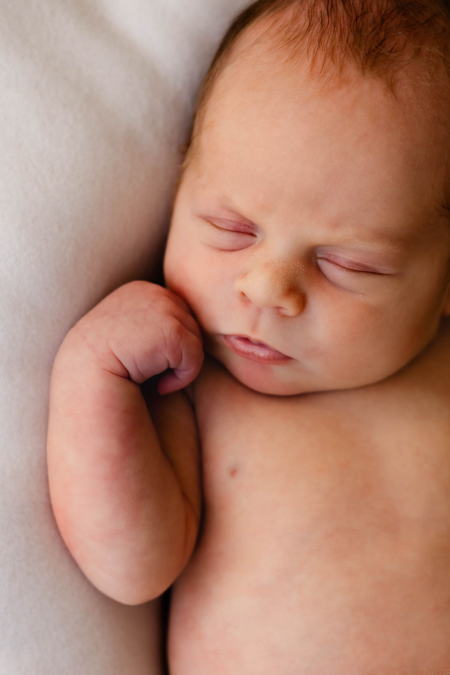 Peaceful sleeping newborn baby photographed in soft natural light against white background.
