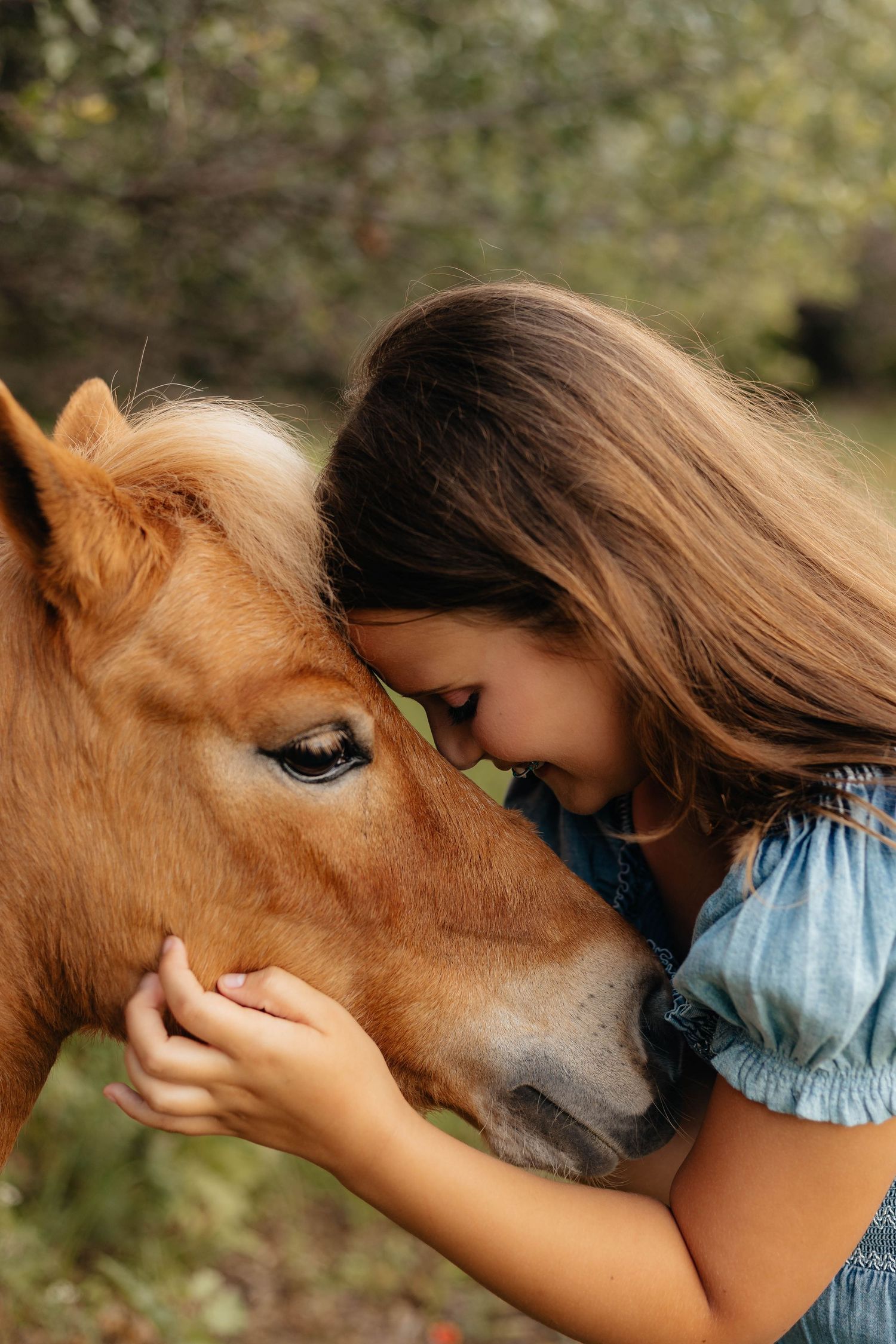Close-up sequence showing gentle interaction with a brown horse's face.