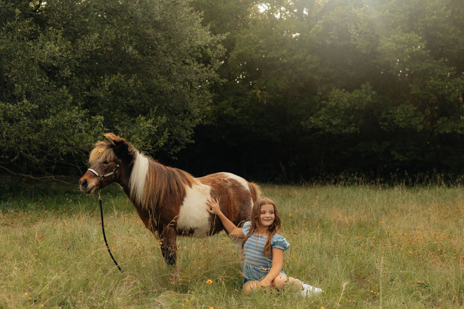 A series of playful moments with a brown and white horse in a sunny meadow.