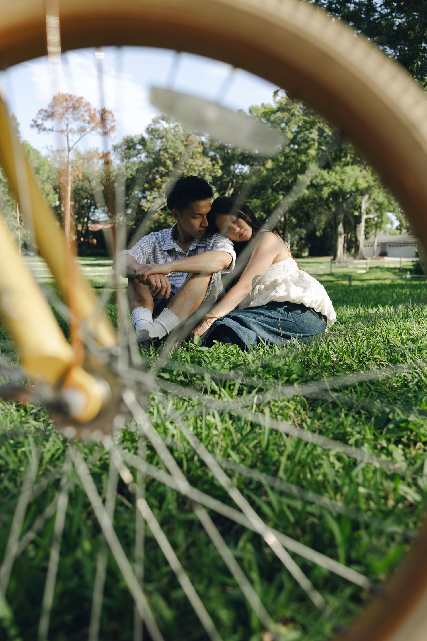 Golden sunlight filters through grass as people relax on a lush lawn in a park setting.