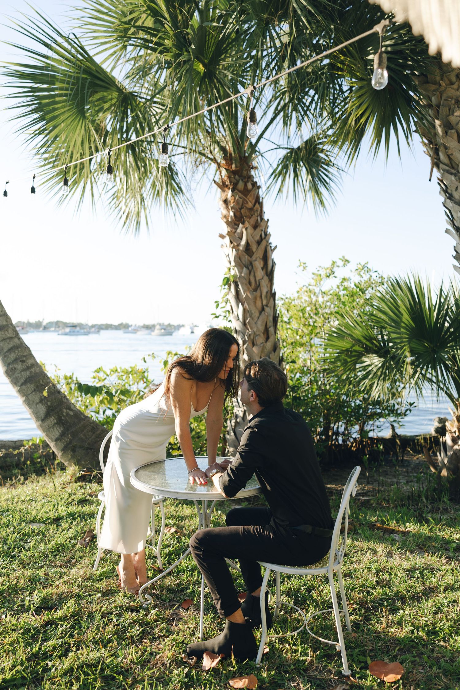 A romantic outdoor scene with a palm tree and string lights overlooking the water during a private moment.