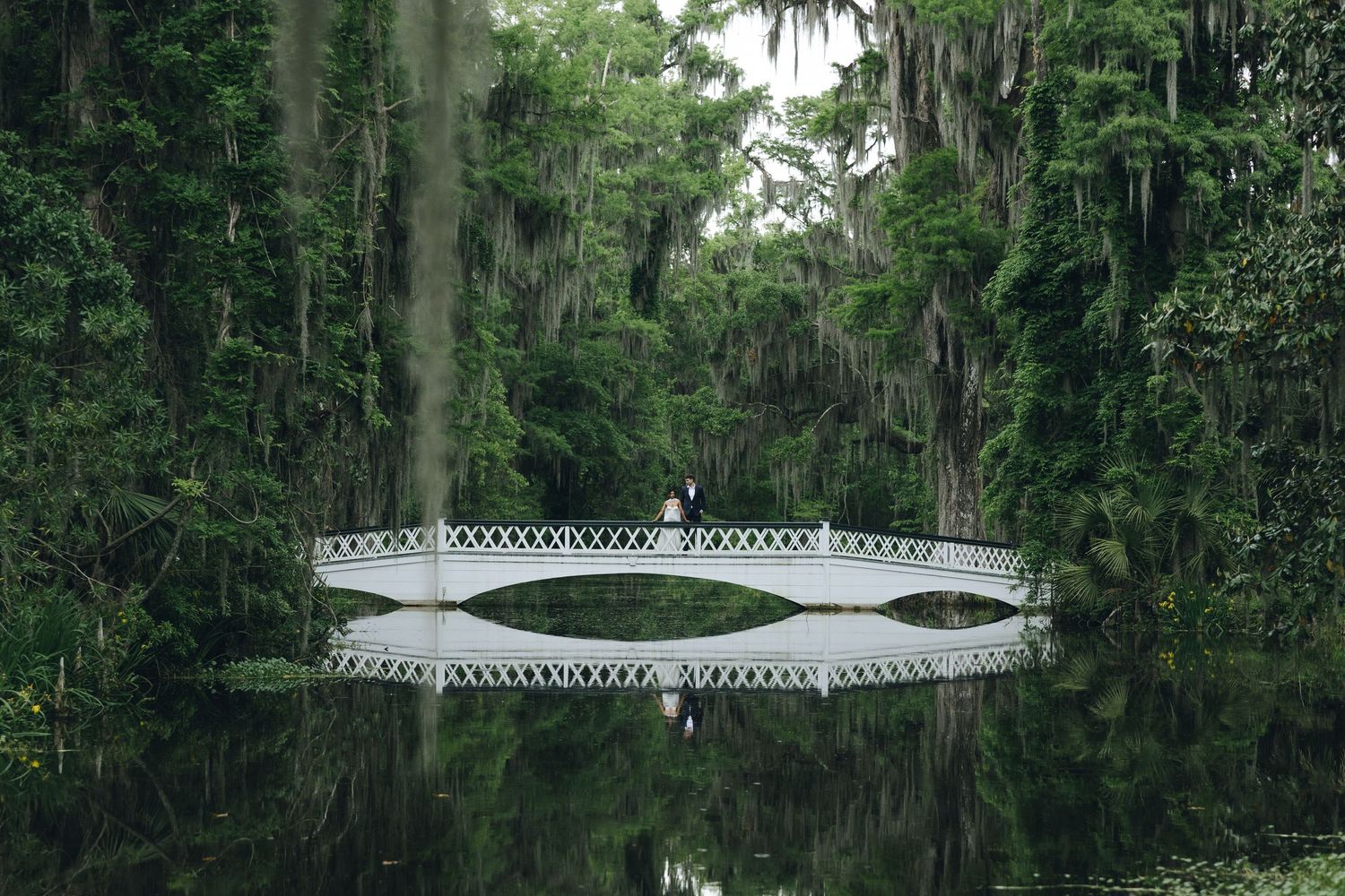 A white ornate footbridge reflects perfectly in still waters surrounded by Spanish moss-draped trees in a southern garden.