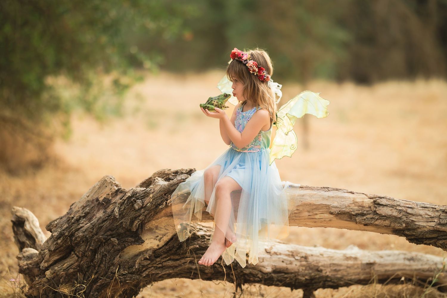 Timeless Fine Art-Girl fairy photographed outdoors in Elk Grove, California by Tea & Sugar Shots by Gretchen Schmidt.