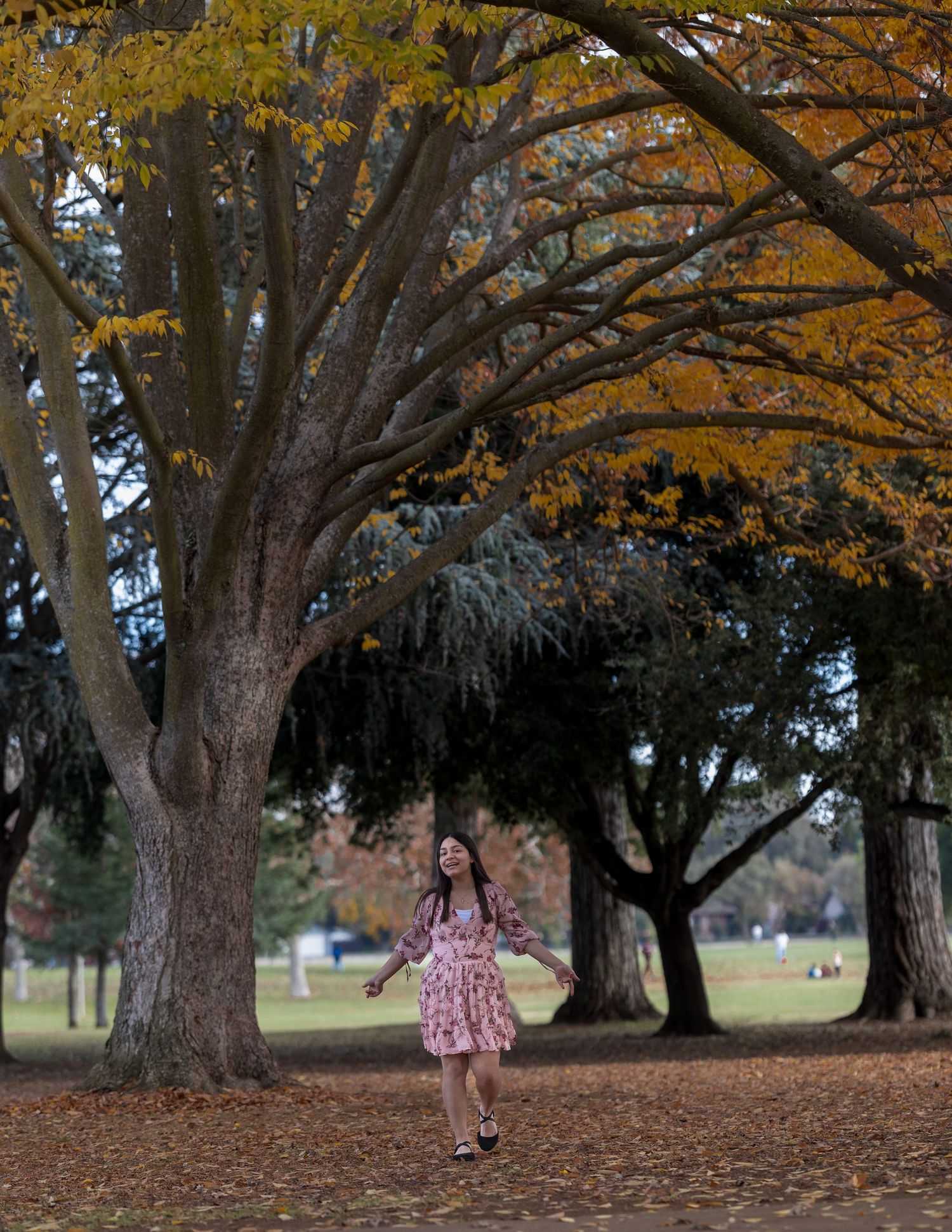 Senior portrait session photographed at Elk Grove Regional Park, Elk Grove, California by Tea & Sugar Shots by Gretchen Schmidt.