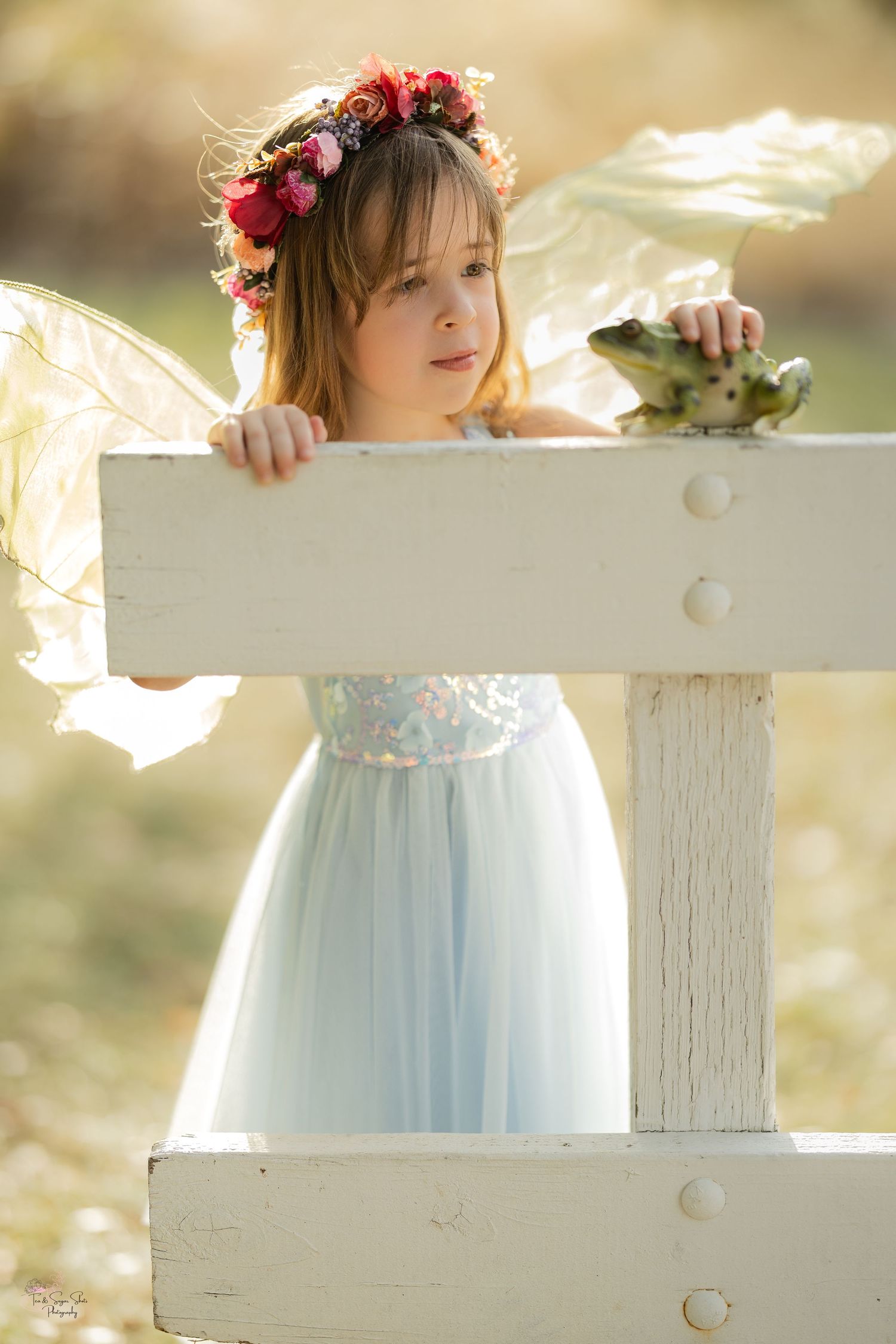 Timeless Fine Art-Girl fairy photographed outdoors in Elk Grove, California by Tea & Sugar Shots by Gretchen Schmidt.