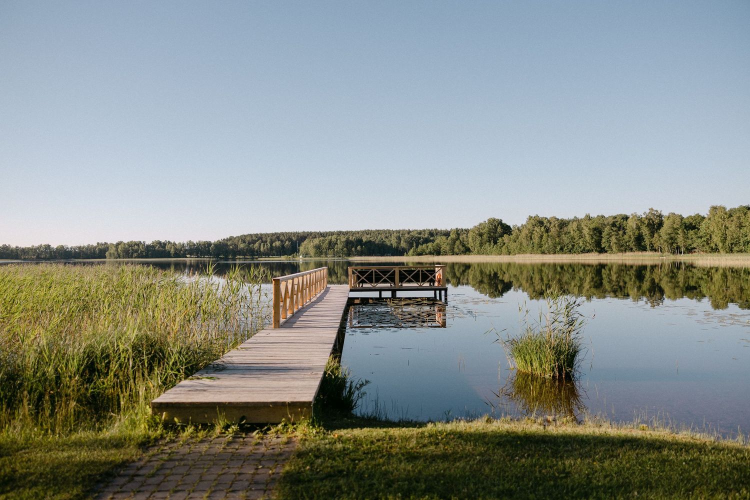 Serene wooden dock extending over calm reflective lake surrounded by green trees.