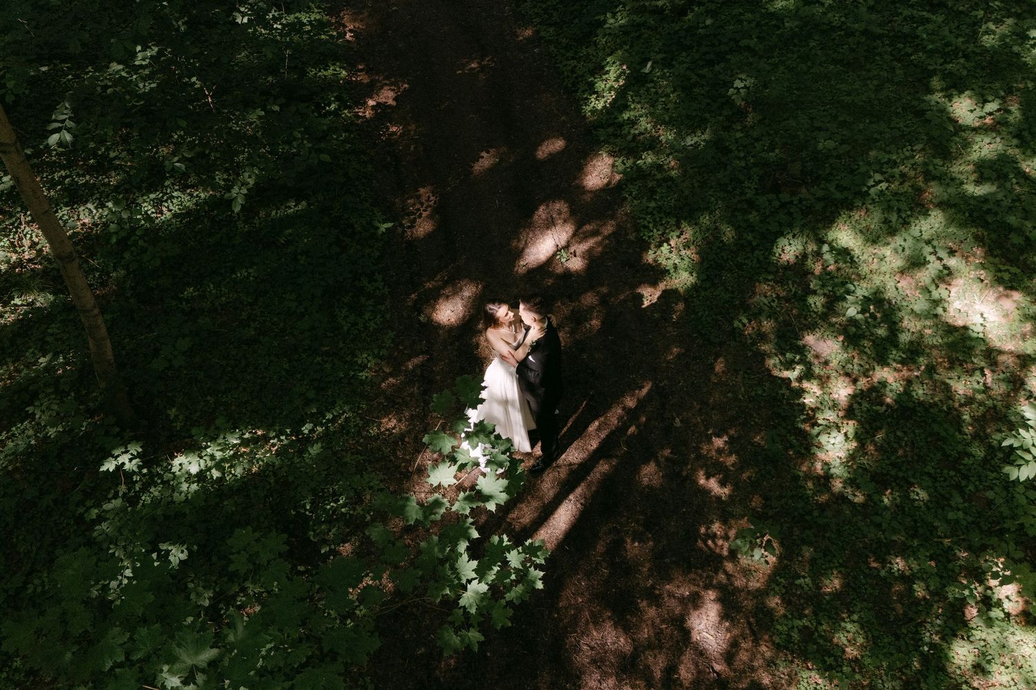 Aerial view of bride and groom kissing surrounded by lush green forest canopy on wedding day.