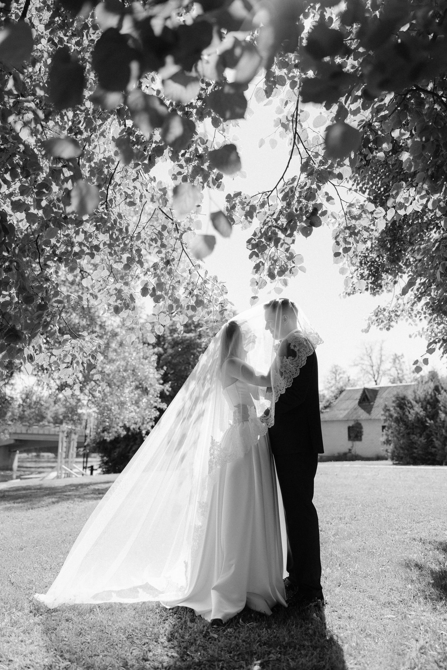 Bride and groom share romantic moment under lush tree canopy in black and white wedding portrait.