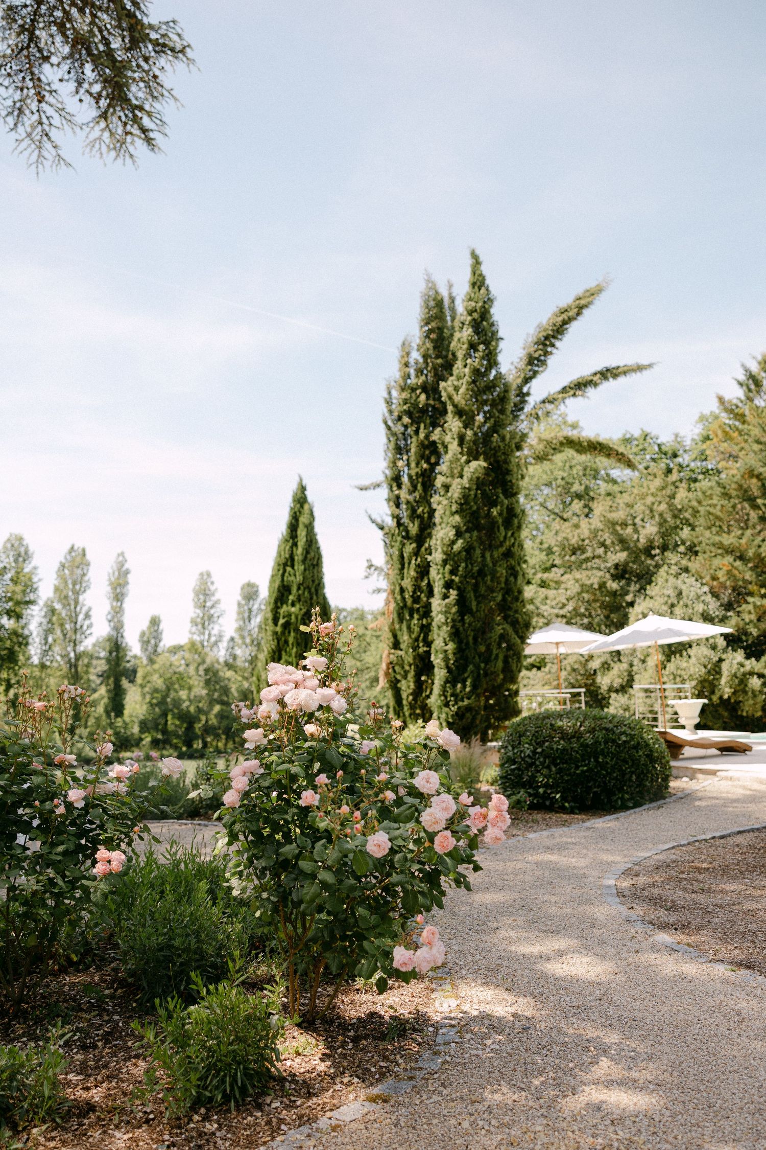 Lush French garden with pink roses, cypress trees, and gravel path at an elegant wedding venue.