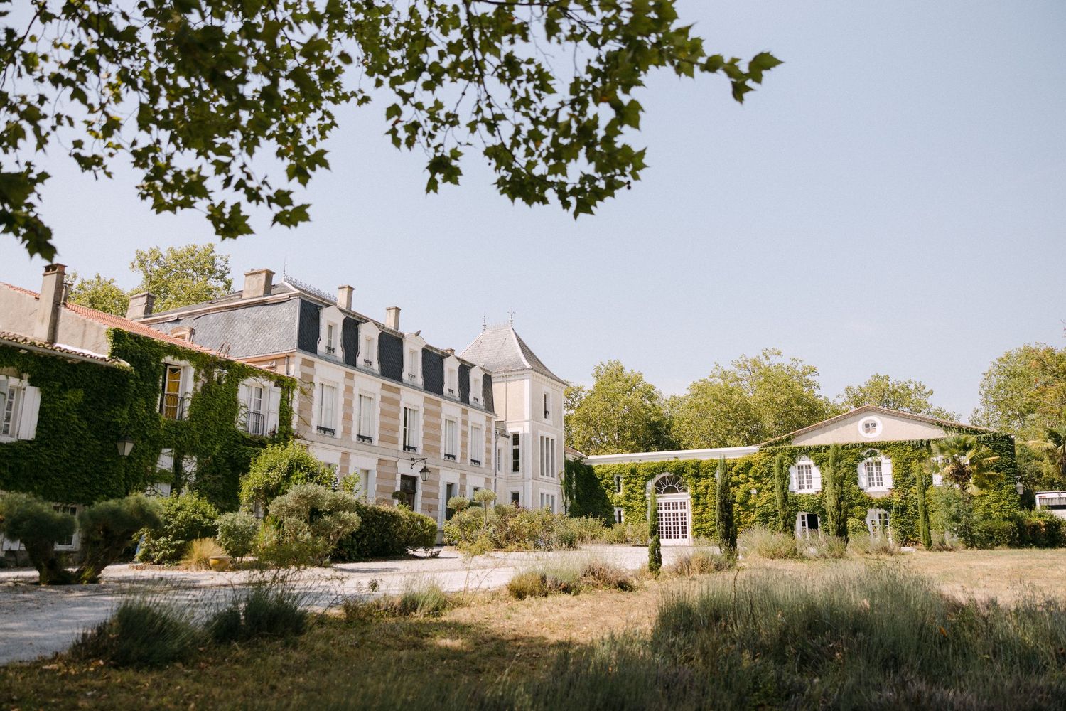 Elegant French château surrounded by ivy-covered walls and lush gardens under a clear summer sky.