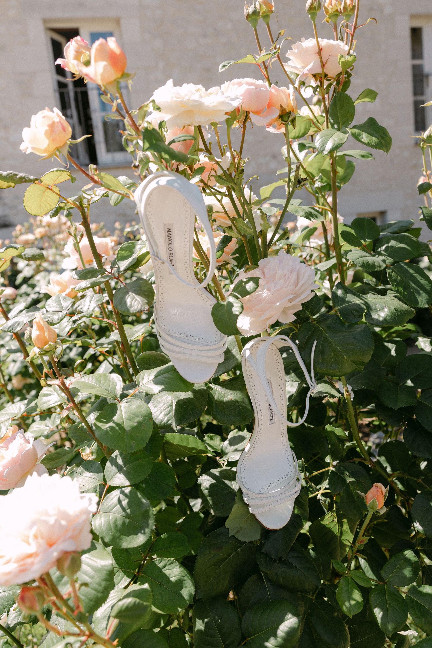 White bridal heels displayed among blooming pink roses in a sunlit garden.