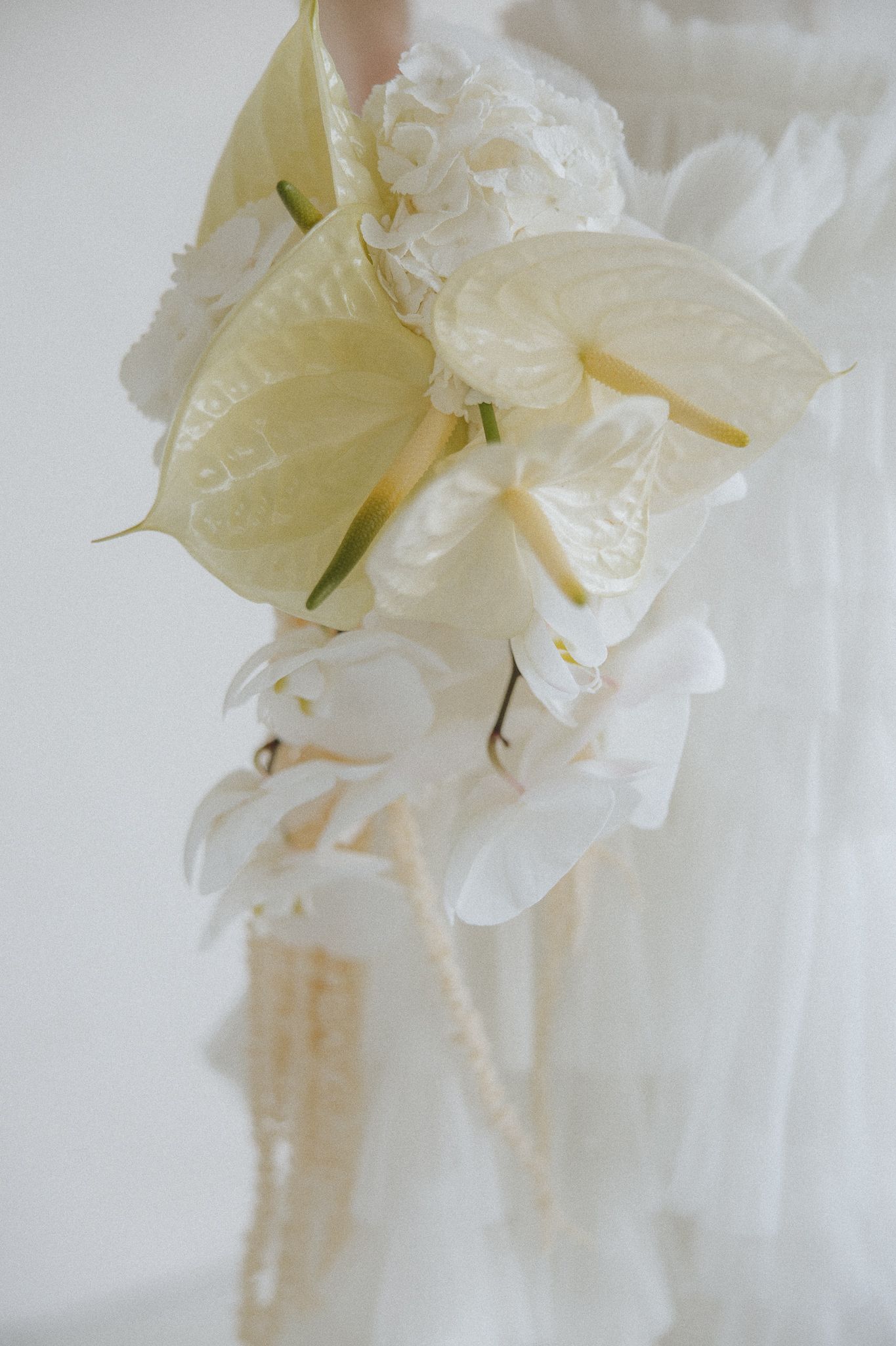 Close-up view of delicate white peony flower petals with soft edges against a light background.