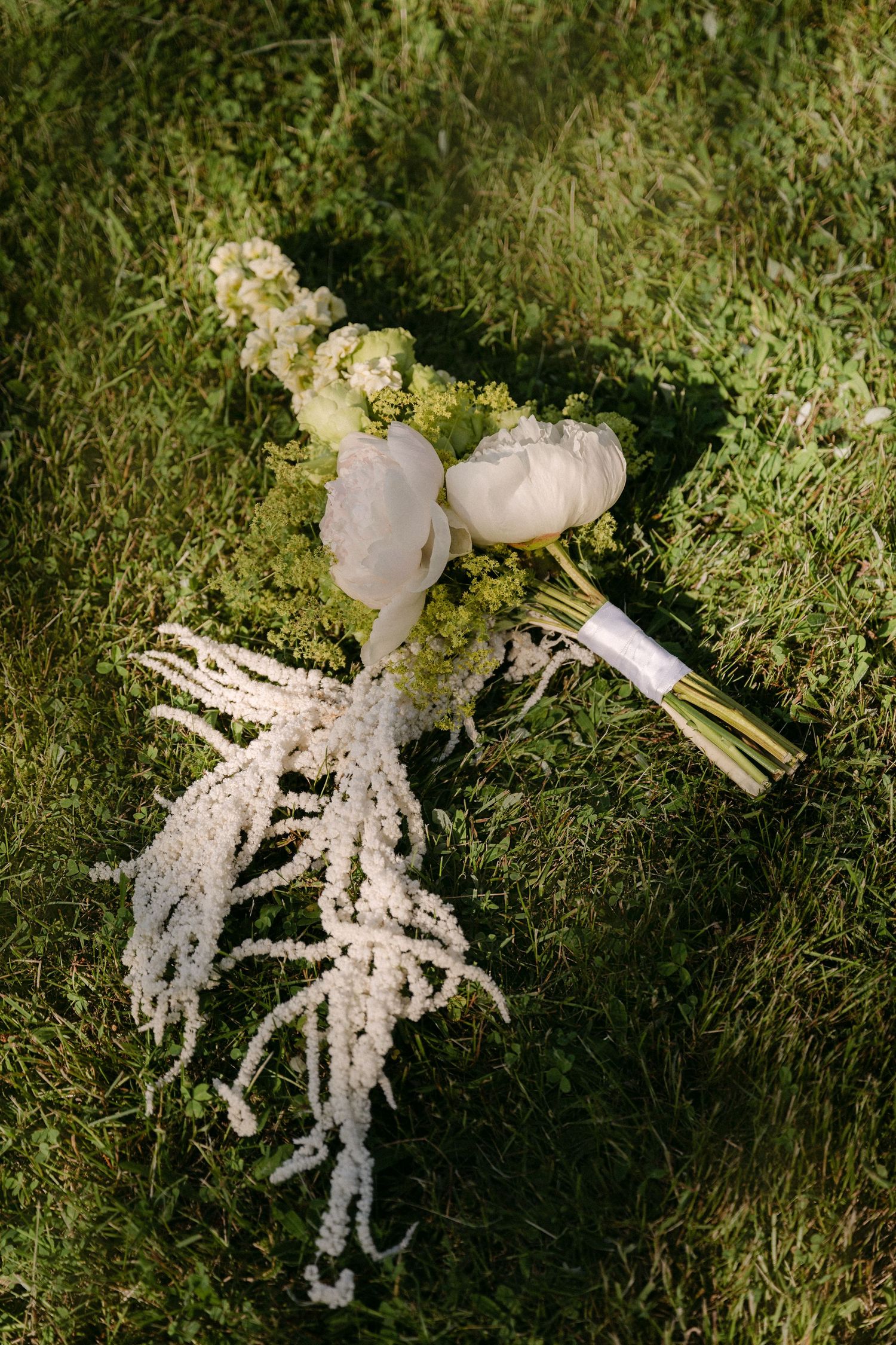 Elegant white bridal bouquet with peonies and cascading amaranthus laying on green grass.