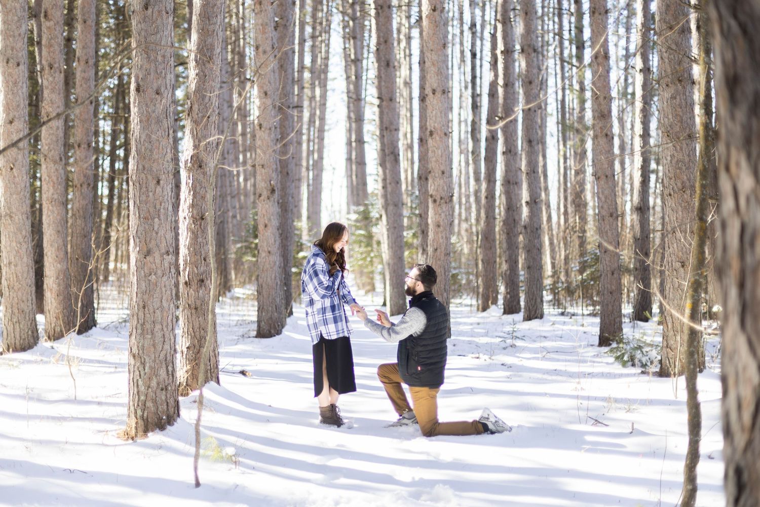 Snow-covered forest path with tall trees creating a natural winter corridor.