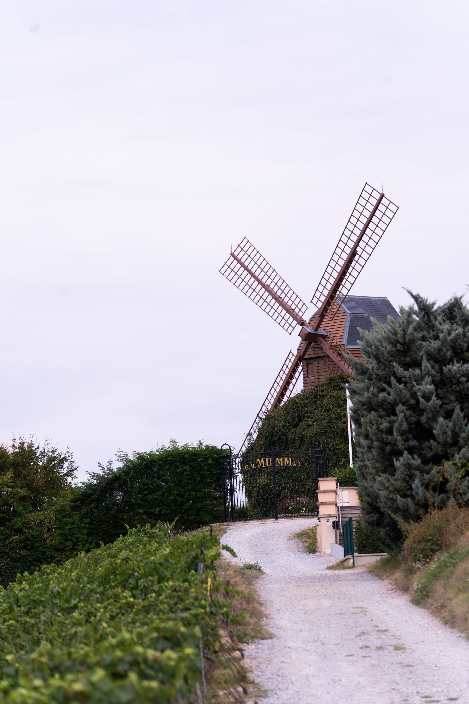 Photographie de mariage