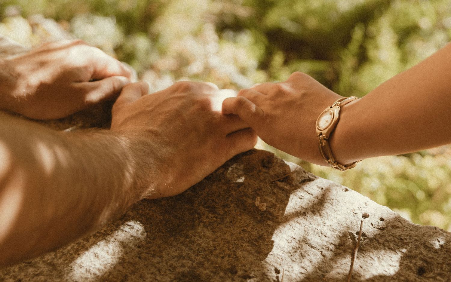 Close-up of two hands gently clasped together on a sunlit rock, one wearing a gold wristwatch, with soft green foliage blurred behind.