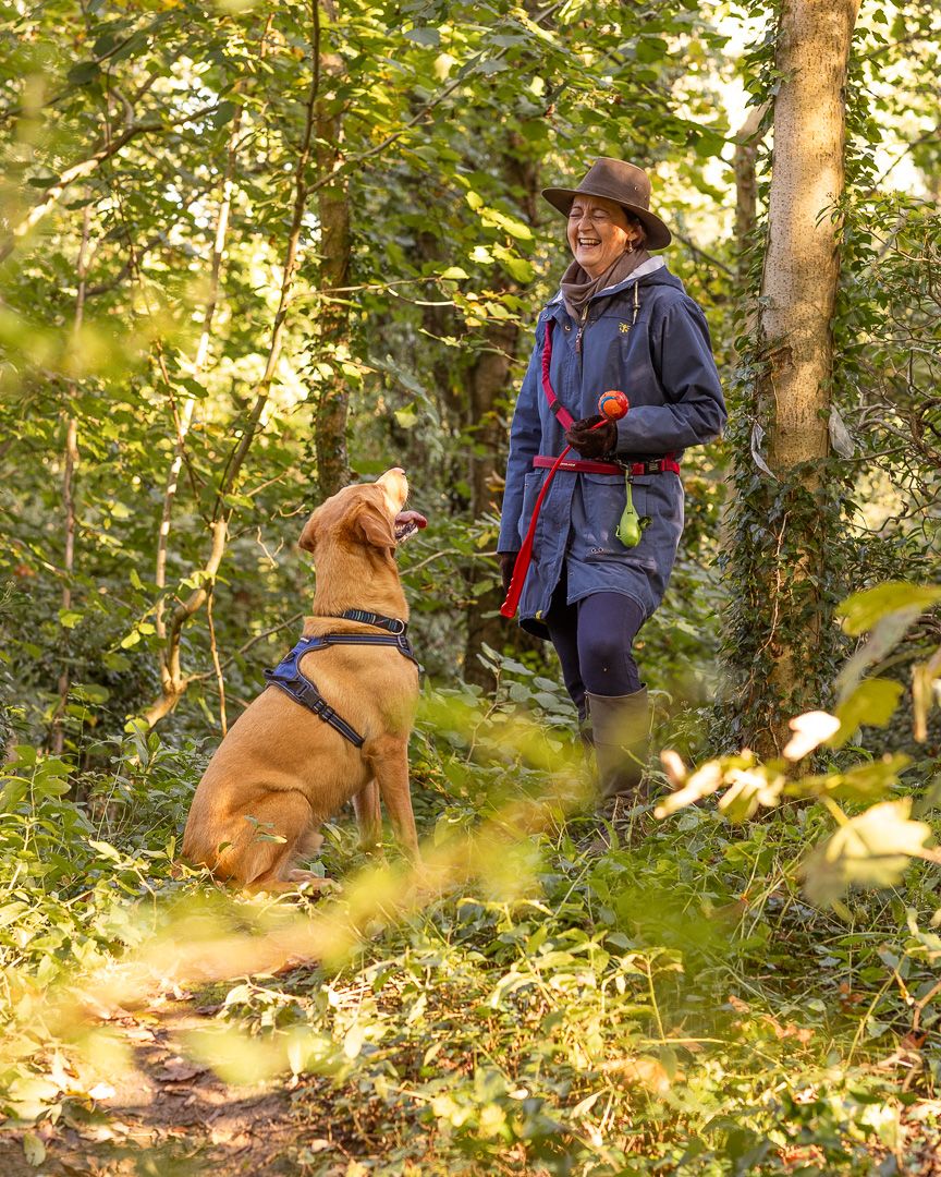 A person and their dog walking through a sunlit forest path with golden light filtering through the trees.