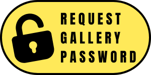 Yellow button with a padlock icon and bold text reading Request Gallery Password on a rounded rectangle background.