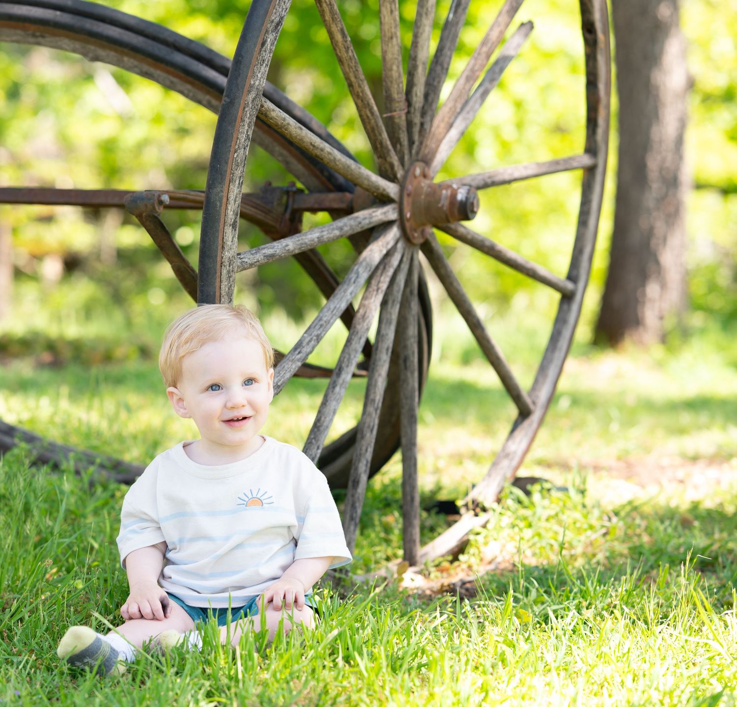Family Portraits in Northern California