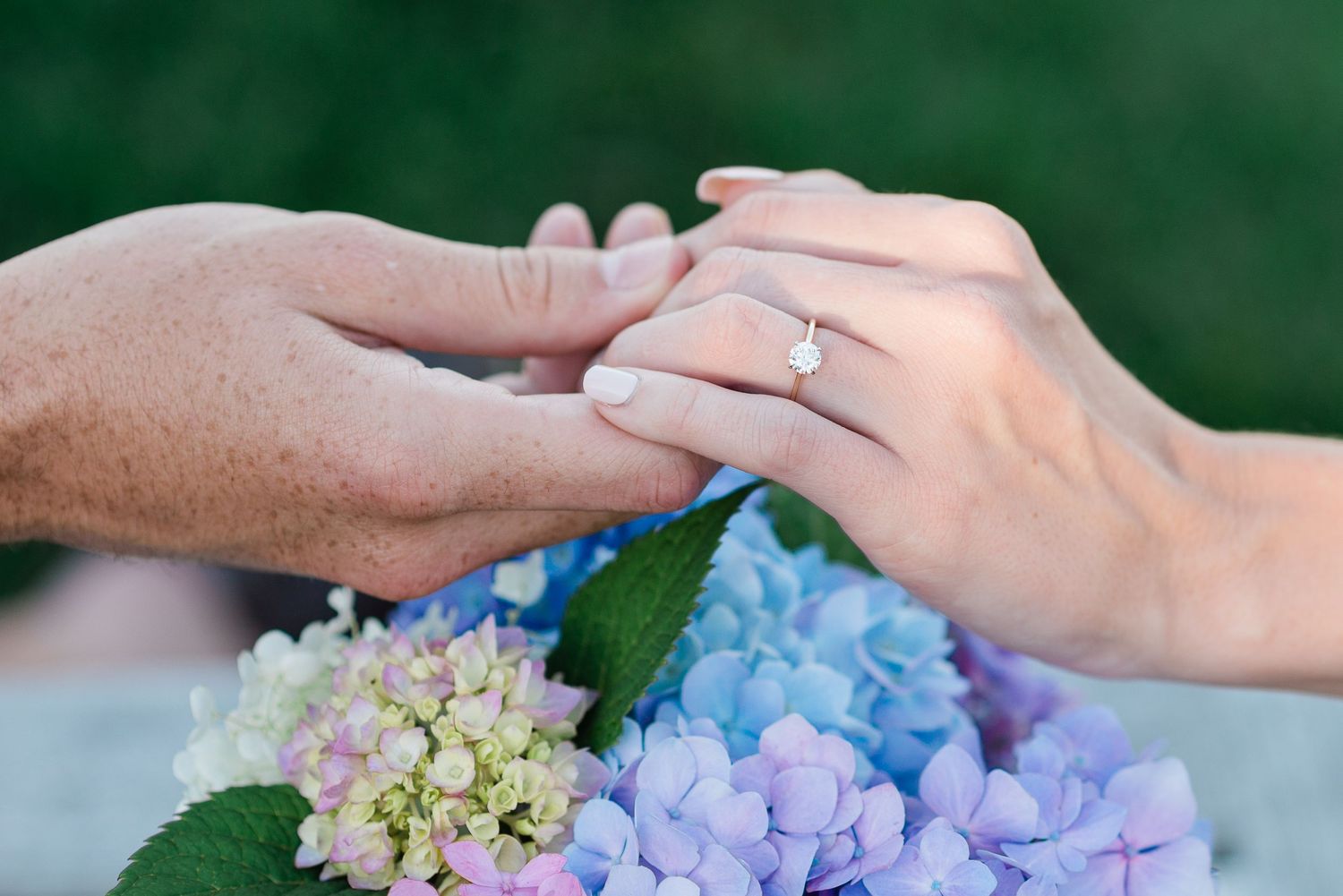 A couple hold hands to show off an engagement ring over colorful hydrangea flowers