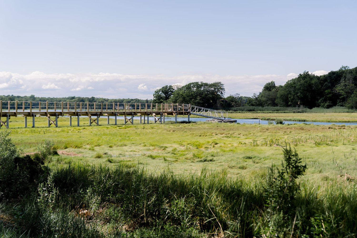 a detail shot of a backyard wedding, with a pier jutting out into the marsh